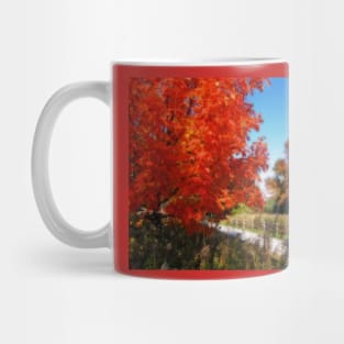 Fall in Pennsylvania Mug